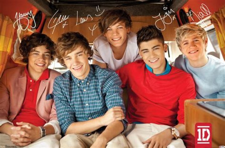 [INTERVIEW] One Direction Boys Want To Date Each Other – Hollywood Life