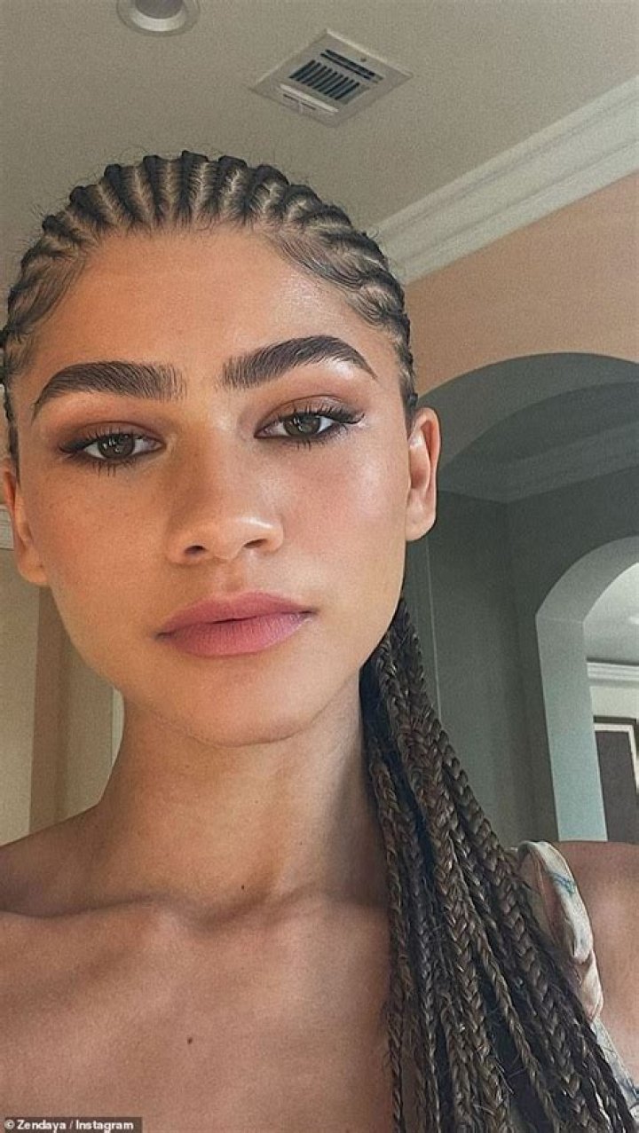 Zendaya Shows Off Her New Braids In Gorgeous Selfie – See Her Hair Makeover